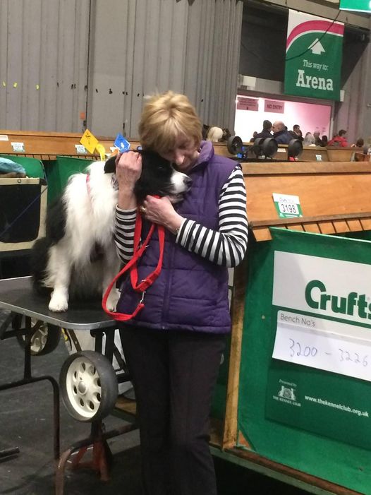 Margaret Harkness Death Tribute To A Passionate Border Collie Advocate